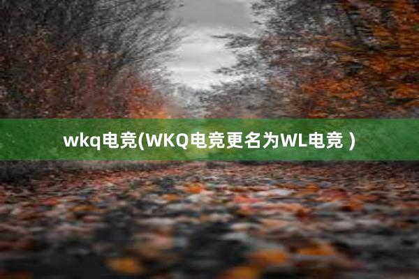 wkq电竞(WKQ电竞更名为WL电竞 )